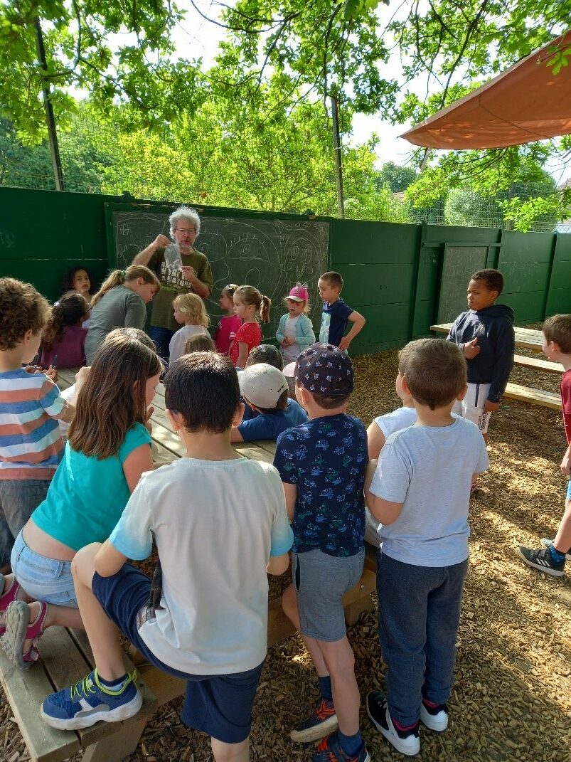 Stage Nature et Environnement