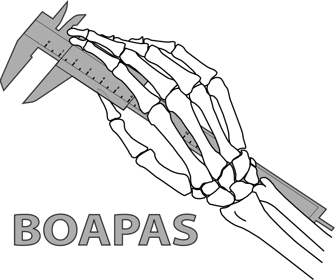 BOAPAS Logo January 2018 square transparent AWaP